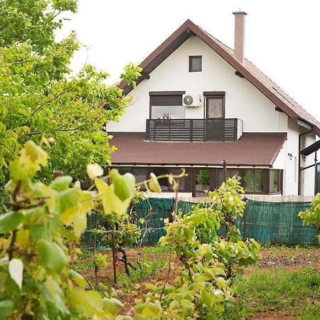 Villa Casa din Vie, piscină încălzită, întreaga locație la 15min de centrul orașului Oradea Extérieur photo