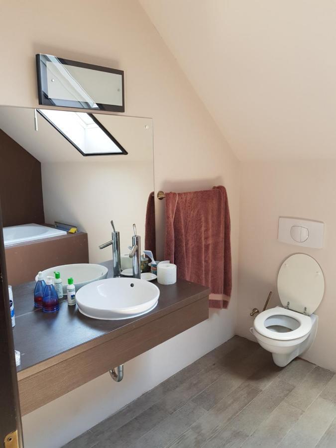 Villa Casa din Vie, piscină încălzită, întreaga locație la 15min de centrul orașului Oradea Extérieur photo